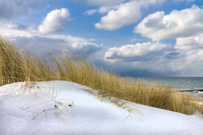 Snow and grass at beach against cloudy sky