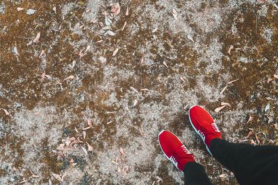 Low section of person standing on land