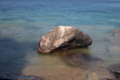 Close-up of rock in sea