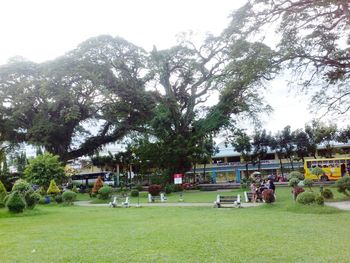 People on field by trees against sky