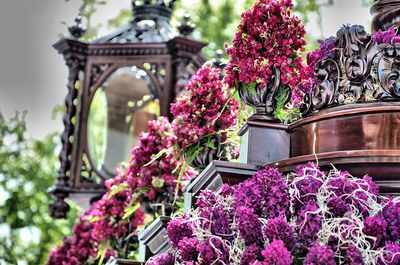 Flowers in front of built structure