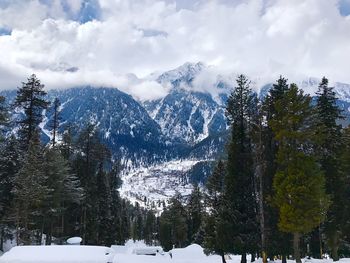 Snow covered pine trees in forest against sky