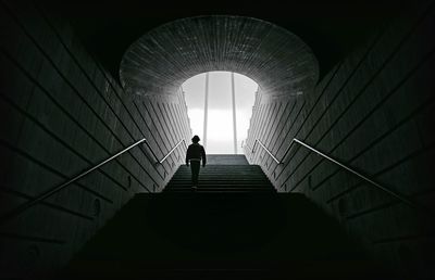 Rear view of man walking on steps