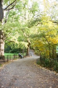 Road passing through forest