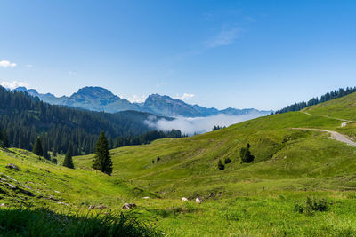 Scenic view of landscape and mountains against blue sky