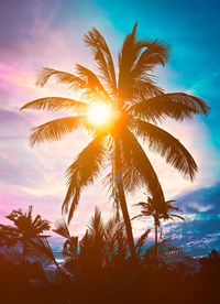 Low angle view of silhouette coconut palm trees against sky during sunset