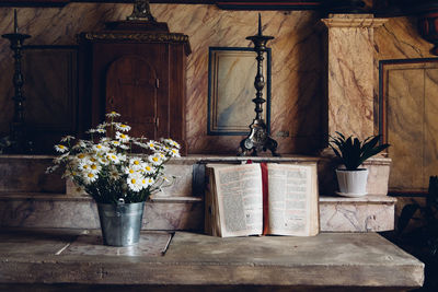 Potted plant on table in building