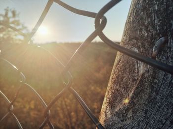 Close-up of chainlink fence on field