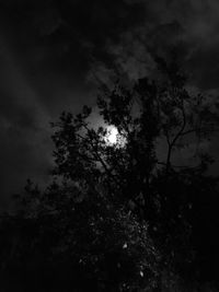 Low angle view of silhouette trees against sky at night