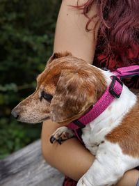 Midsection of woman with dog