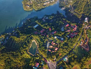 High angle view of trees and buildings by sea