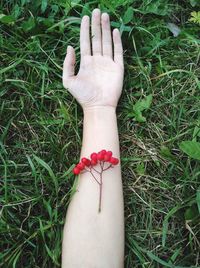 Close-up of woman hand with grass