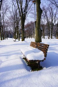 Snow covered trees on field against sky during winter