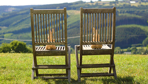 Close-up of empty chairs on field