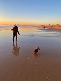 Dachshund and owner on the beach at aberavon south wales