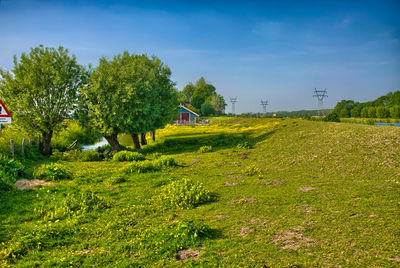 Trees on field against sky