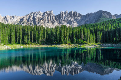 Reflection of trees in lake against sky