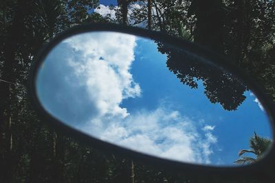 Low angle view of trees against sky