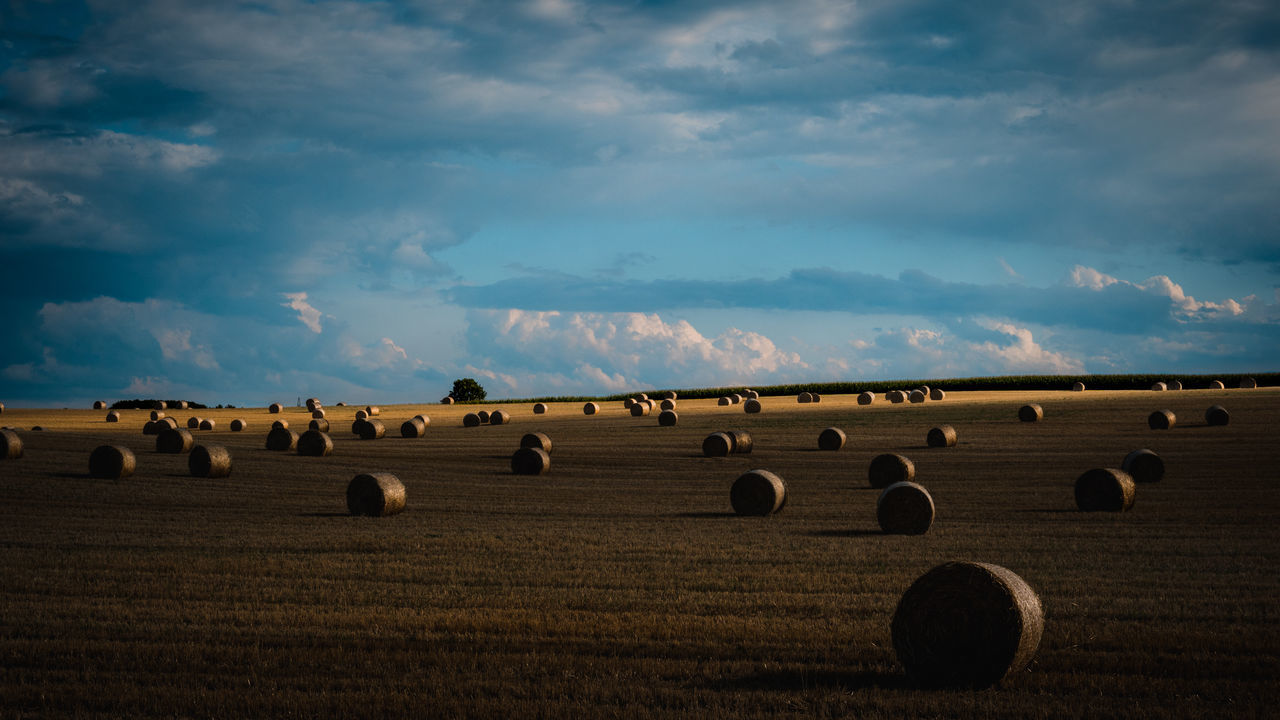 HAY BALES ON FIELD AGAINST CLOUDY SKY