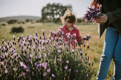 Rear view of people on field against purple flowering plants