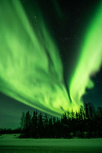Aurora polaris over landscape at night