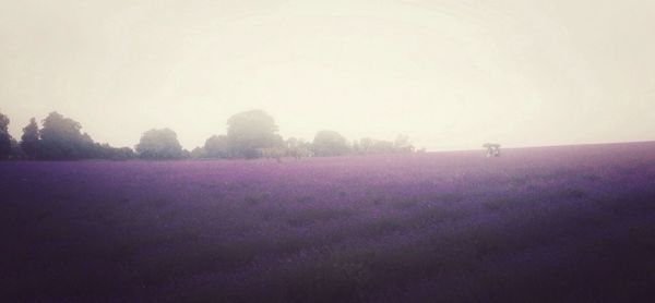 Scenic view of landscape