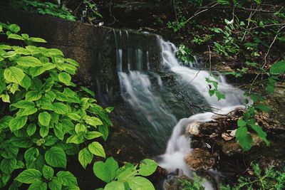 Scenic view of river flowing through rocks