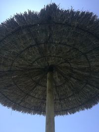 Low angle view of trees against clear sky