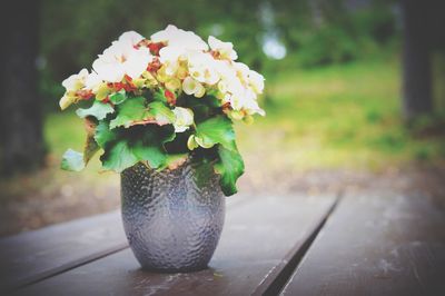 Close-up of flower pot on table