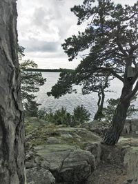 Scenic view of trees by lake against sky