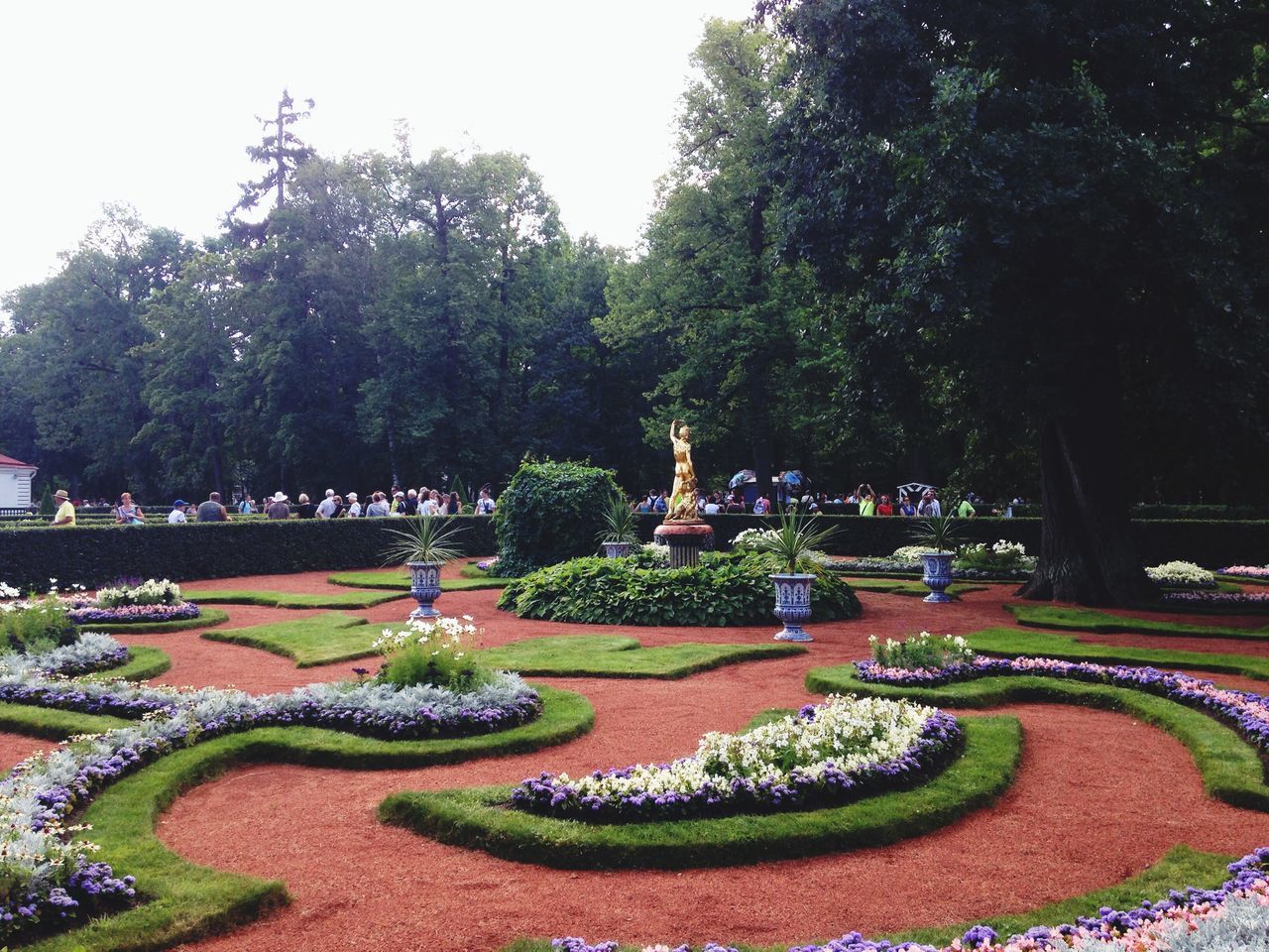 tree, park - man made space, growth, green color, formal garden, nature, park, flower, clear sky, garden, plant, beauty in nature, outdoors, lawn, tranquility, day, built structure, lush foliage, grass, sky