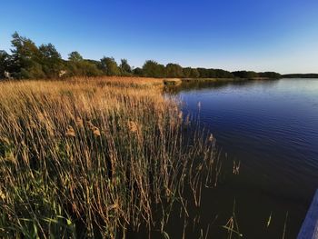 Scenic view of lake against clear sky