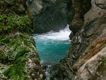 Scenic view of waterfall in forest