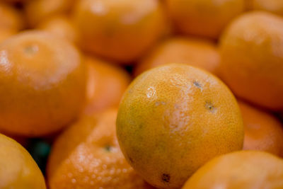 Close-up of oranges