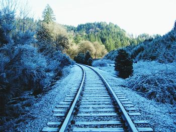 Railroad track in forest