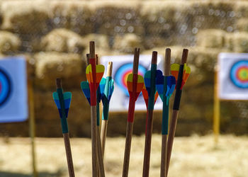 Close-up of multi colored wooden arrows