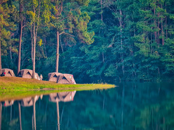 Scenic view of lake