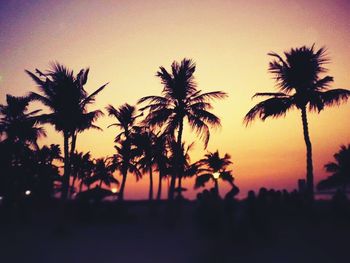 Silhouette palm trees at sunset