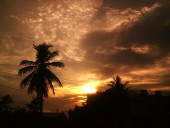 Silhouette palm trees at sunset