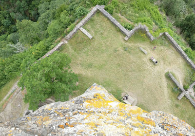 High angle view of starfish on land