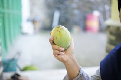 Close-up of hand holding fruit