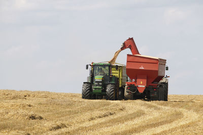 Agriculture wheat harvest