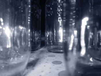 View of illuminated trees at night