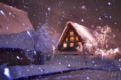 Snow covered trees at night