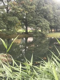 Scenic view of lake with trees in background