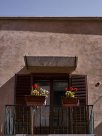 Low angle view of potted plants on balcony of building