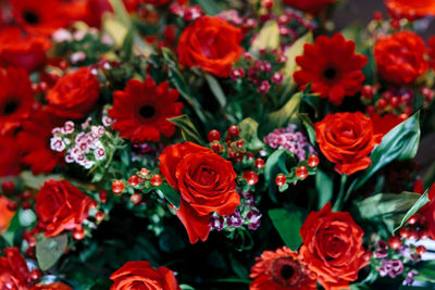 Closeup of a big bouquet of red roses