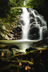 Scenic view of waterfall in forest