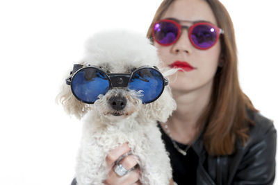 Portrait of little dog with sunglasses and her young mistress on white background