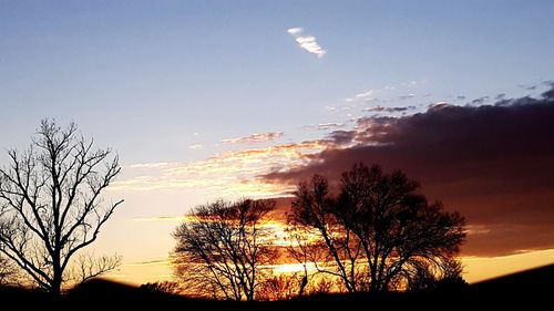 Low angle view of bare trees against sky at sunset